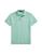 color Sage green 5