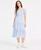 color Blue Gingham 2