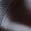 color Dark Brown 1
