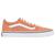color Theory Sun Baked/White 1