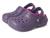 color Nightshade 1