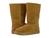 color Chestnut 1