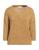 color Camel 1