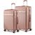 color Rose Gold 1