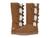 color Chestnut 1