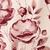 color ROSE 0