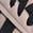 color Wonder Taupe/ Black/ Gum 12