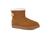 color Chestnut 1