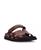 color Brown 1