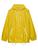 color YELLOW 1