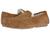 color Chestnut 2