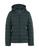 color Dark green 1