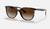 color Polished Havana/Gradient Brown 2