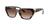 color Brown Gradient 1