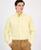 color Primrose Yellow 5