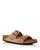 color Beige 5