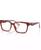 color Brown Tortoise 1