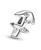 color Silver - Sagittarius 6