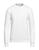 color Off white 1