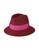 color Burgundy 1