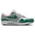 color Platinum Tint-Evergreen Aura-Lt Smoke Grey 4