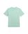 color Celadon 16
