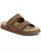 color Chestnut 1