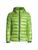 color GREEN ASTER 2