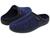 color Blue Speckle 1