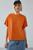 color Burnt Orange 1