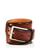 color Brown 1