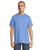 color Danish Blue 1