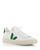 color White/Green 5