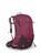color Elderberry Purple/Chiru Tan 0