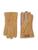 color CHESTNUT 1