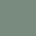 color DARK HAVANA GREEN 0