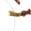 color Gold Brown Transparent 0