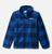color BluePlaid 4
