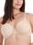 color Damask Neutral (Nude 5) 1