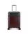 color Burgundy 1