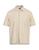 color Beige 1