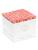 color CONCH PINK 1