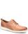 color Brown 1