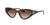color Gradient Brown 1