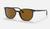 color Polished Havana/Brown 4