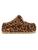 color LEOPARD 1