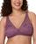 color Currant Purple 6