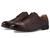 color Brown Burnished 1