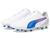 color Puma White-Bluemazing-Flat Light Gray 3