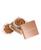 color Cinnamon 2